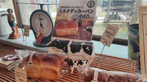 チラシ裏