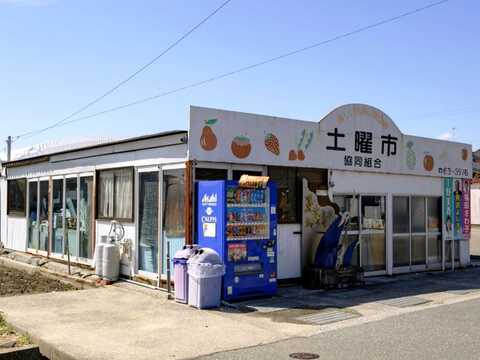 写真1
