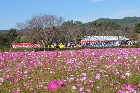 門出のまつり