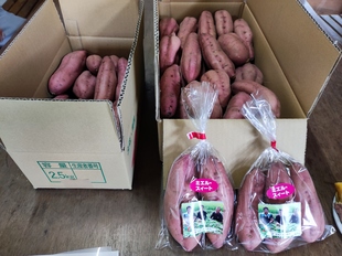 出荷
