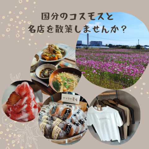チラシ裏