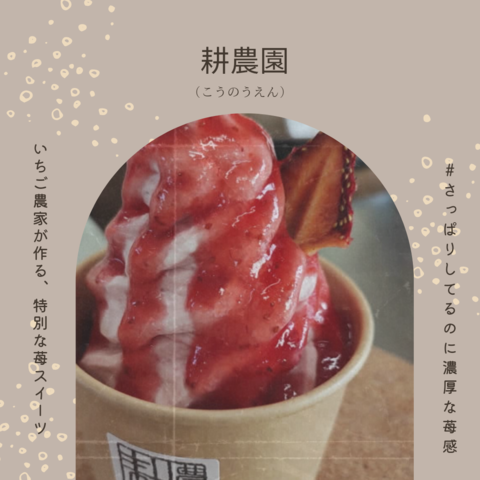 チラシ裏