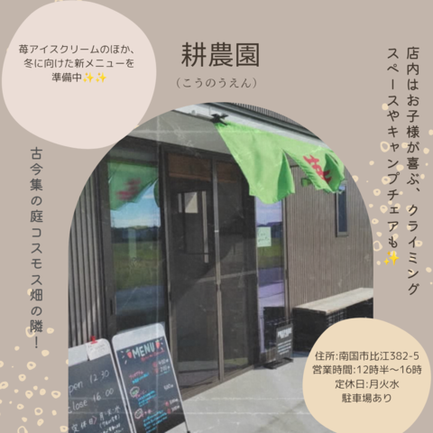 チラシ裏
