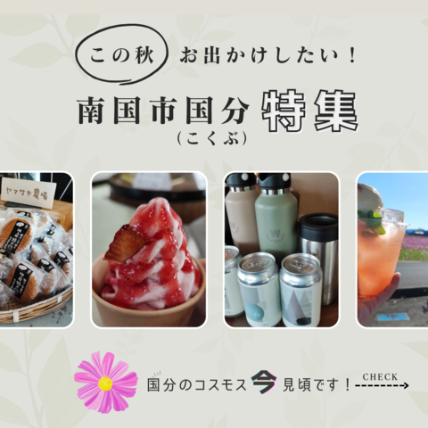 チラシ裏