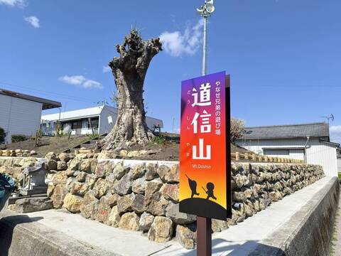 道信山