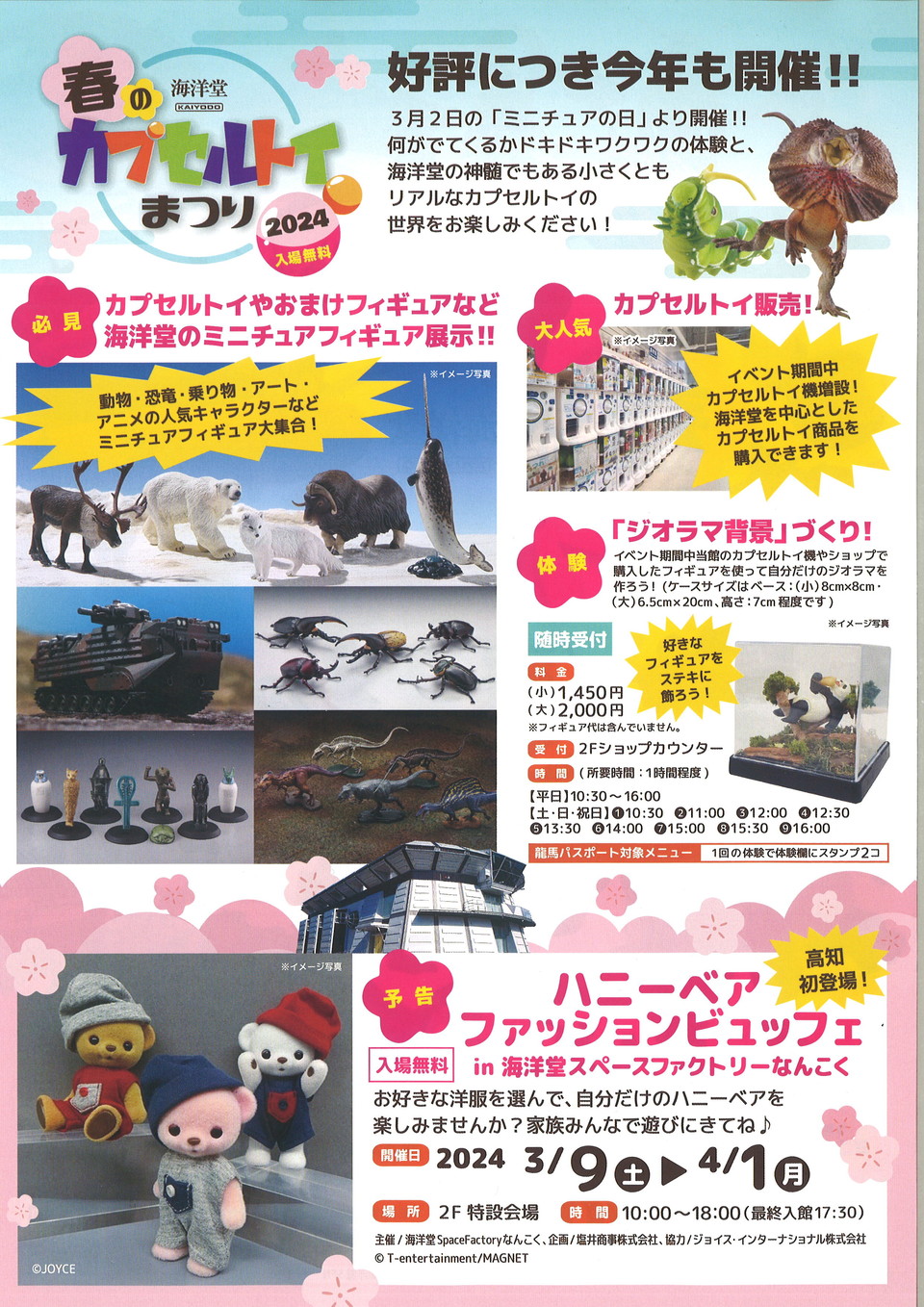 ちらしうら