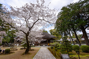 国分寺