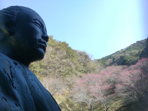 龍馬と梅