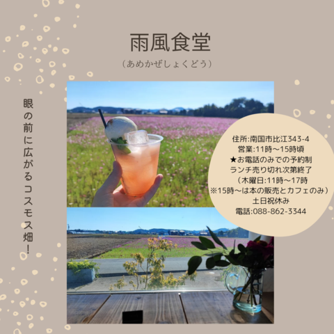 チラシ裏
