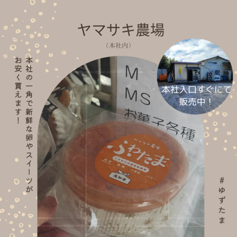 チラシ裏