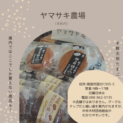 チラシ裏