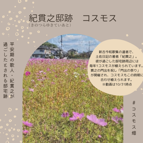 チラシ裏