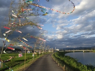 写真