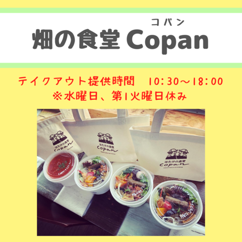 コパン画像