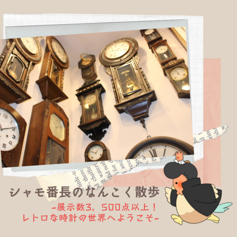 トップ画像