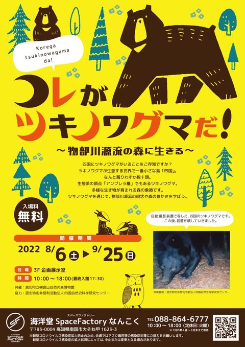 ちらし