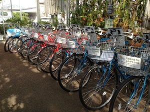 レンタサイクル