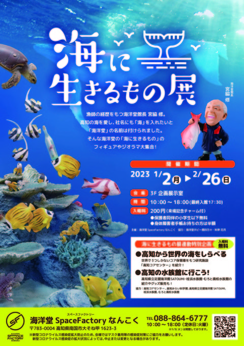 チラシ表