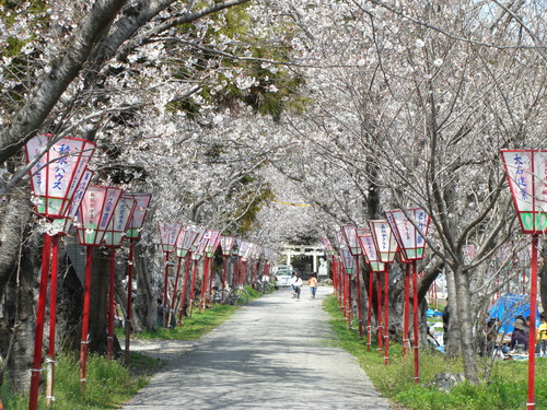 46 熊野神社