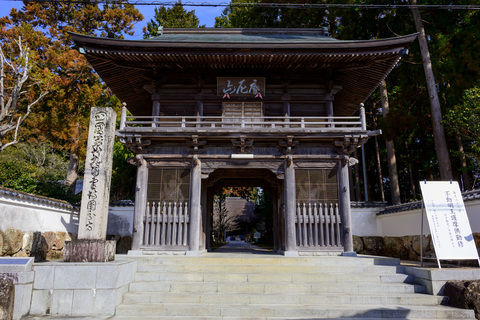 国分寺門
