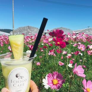 メロンジュース