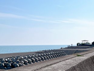 トリム公園と海