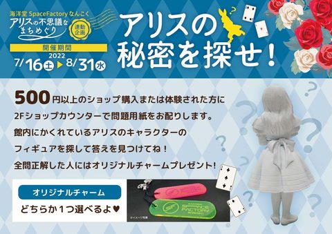 アリスの秘密を探せ！