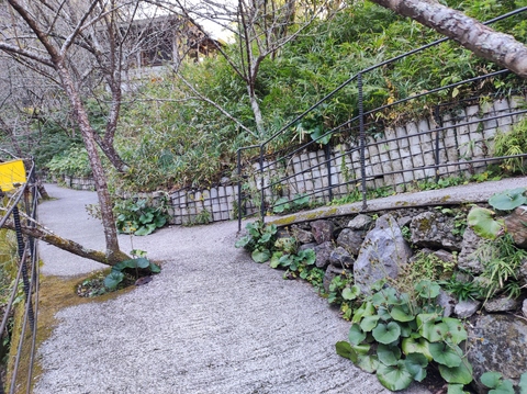 屋外　傾斜