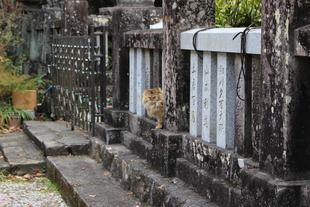 神社4
