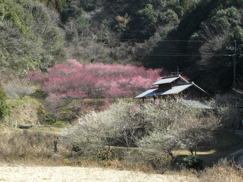 才谷龍馬公園