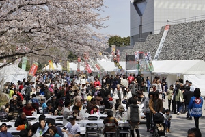 さくらまつり会場