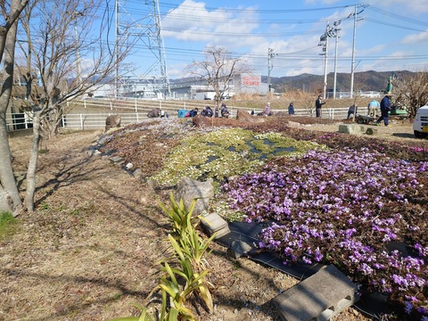写真2