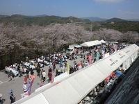 第３回岡豊山さくらまつり・土佐の食１グランプリ