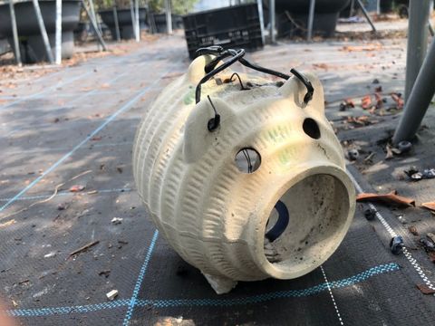 虫よけ