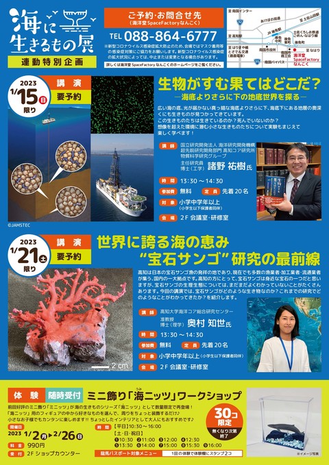 チラシ裏