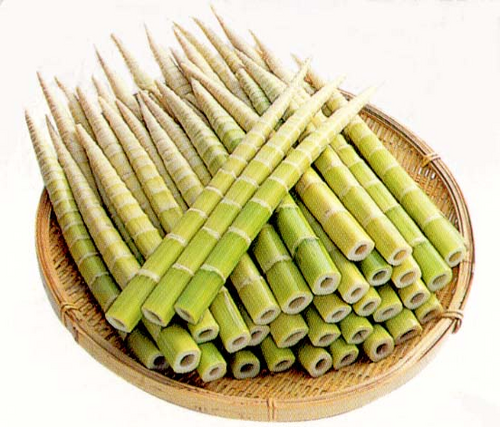 72　四方竹.