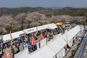 さくらまつり１