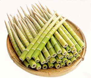 四方竹