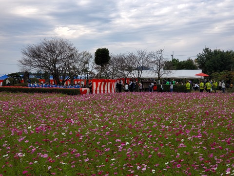 門出の祭り