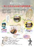 チラシ表