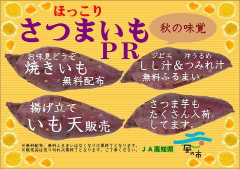 チラシ画像