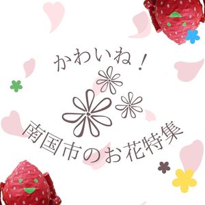 これぞトップ